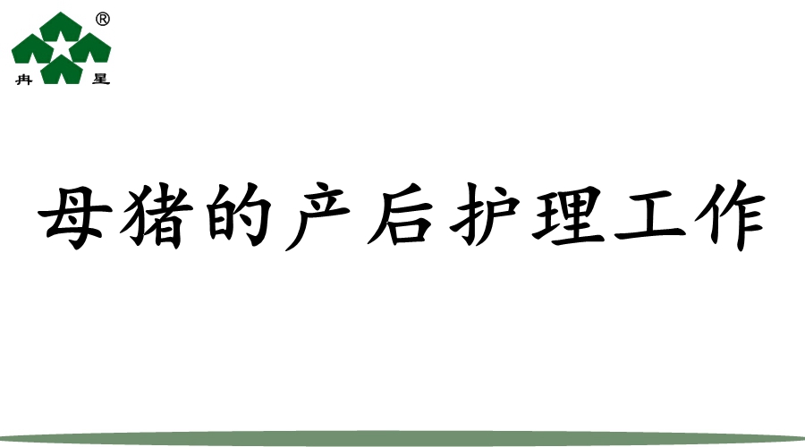 今日【冉星小知识】