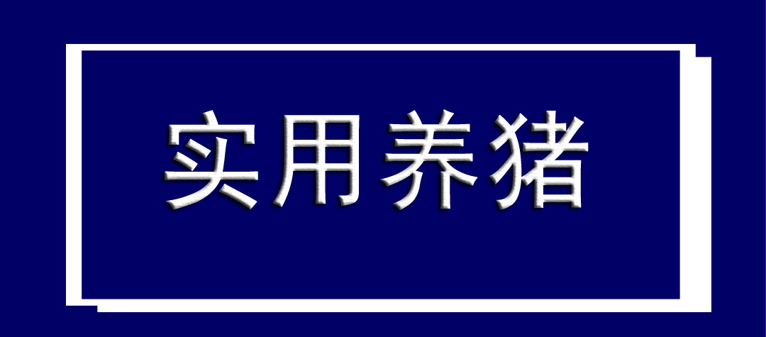 【技术分享】春季养猪这些很关键！