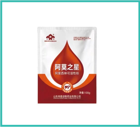 阿莫之星
