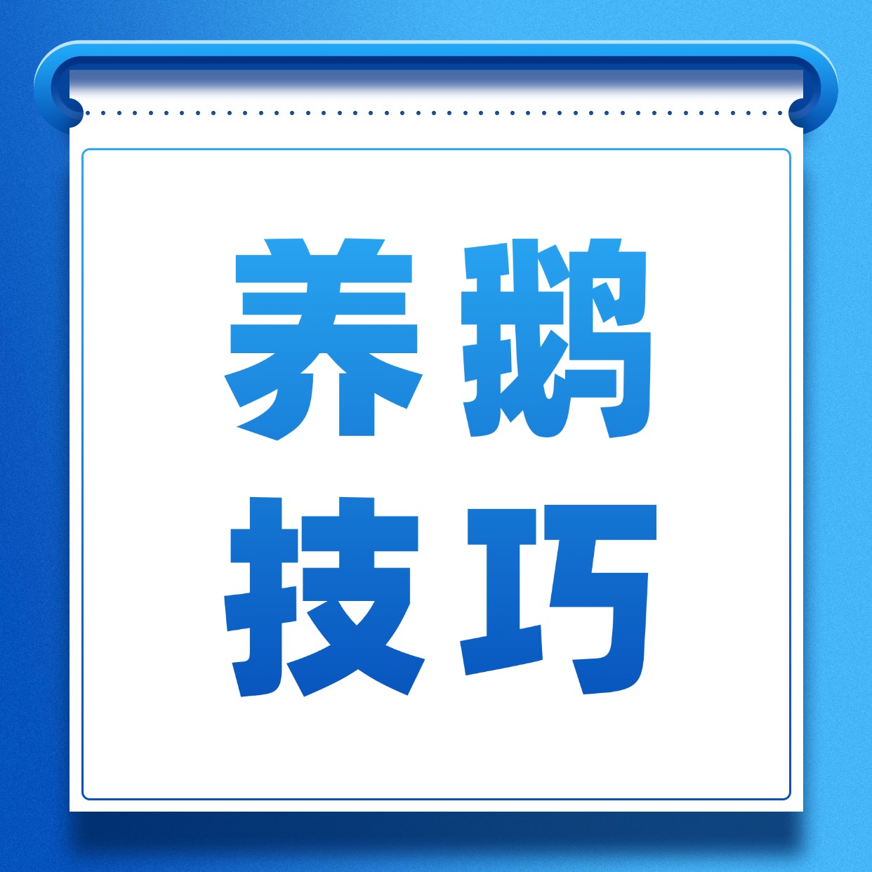养鹅注意事项